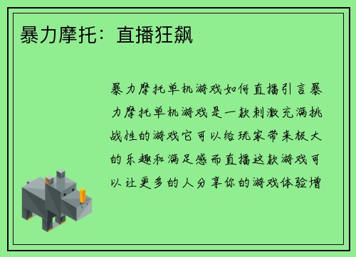 暴力摩托：直播狂飙